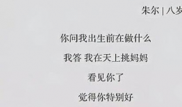 文字和短视频作文,捕捉瞬间情感共鸣